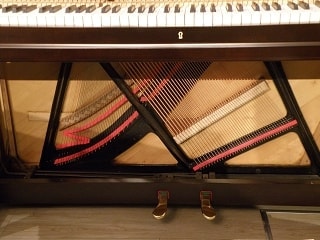 p3040018.jpg