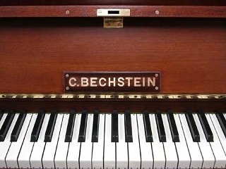 bechstein9tropilogo.jpg