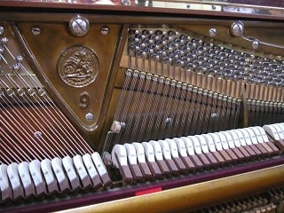 bechstein9tropinaka.jpg