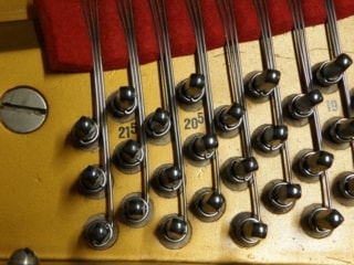 p5260017.jpg