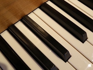 gro16003.jpg