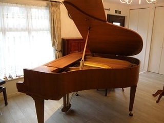 gro16005.jpg