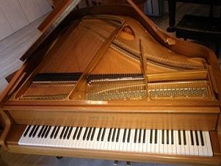 gro16006.jpg