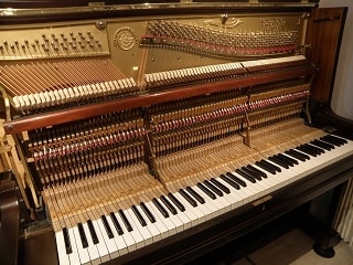 p3040016.jpg