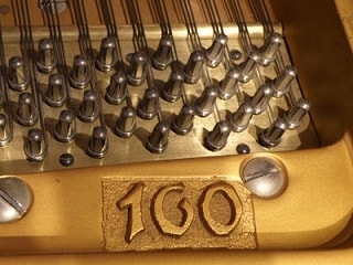 gro16001.jpg