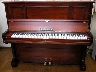 bechstein9tropiweb.jpg