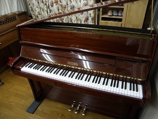p1170017_edited-1.jpg