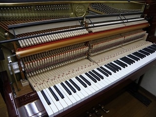 p1170021_edited-1.jpg