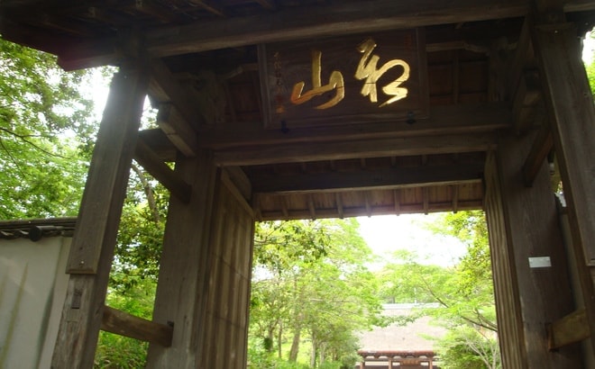 dsc08195.jpg